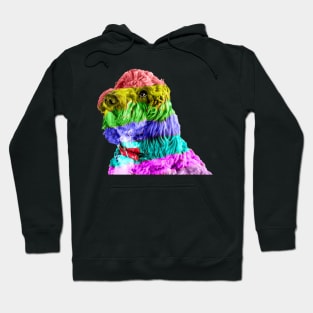 Rainbow Cockapoo 2 Hoodie